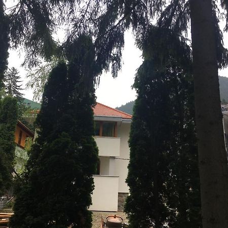 Manyi Villa Беїле-Тушнад Екстер'єр фото