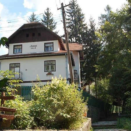 Manyi Villa Беїле-Тушнад Екстер'єр фото