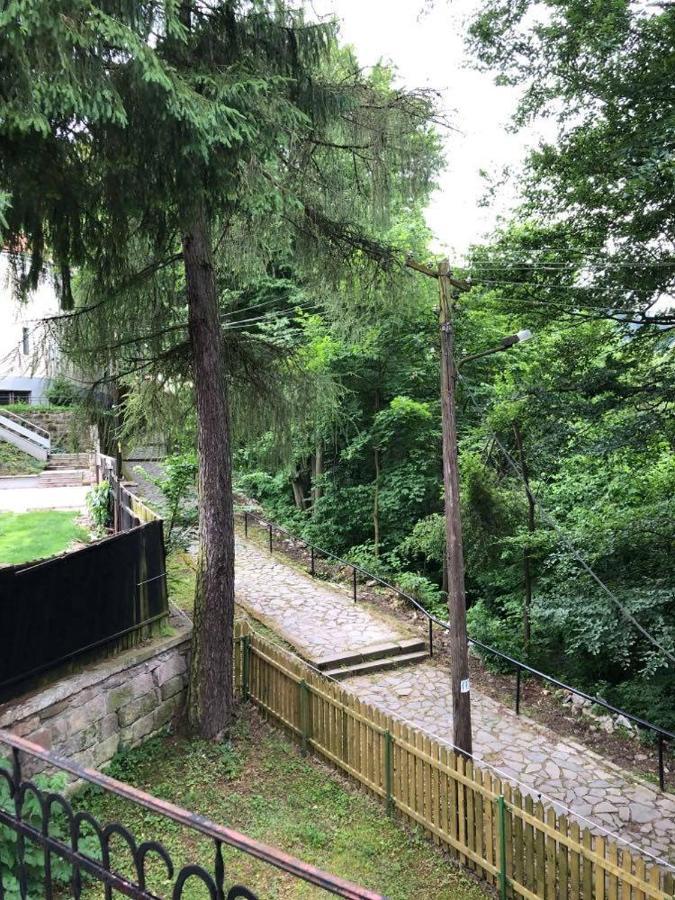 Manyi Villa Беїле-Тушнад Екстер'єр фото