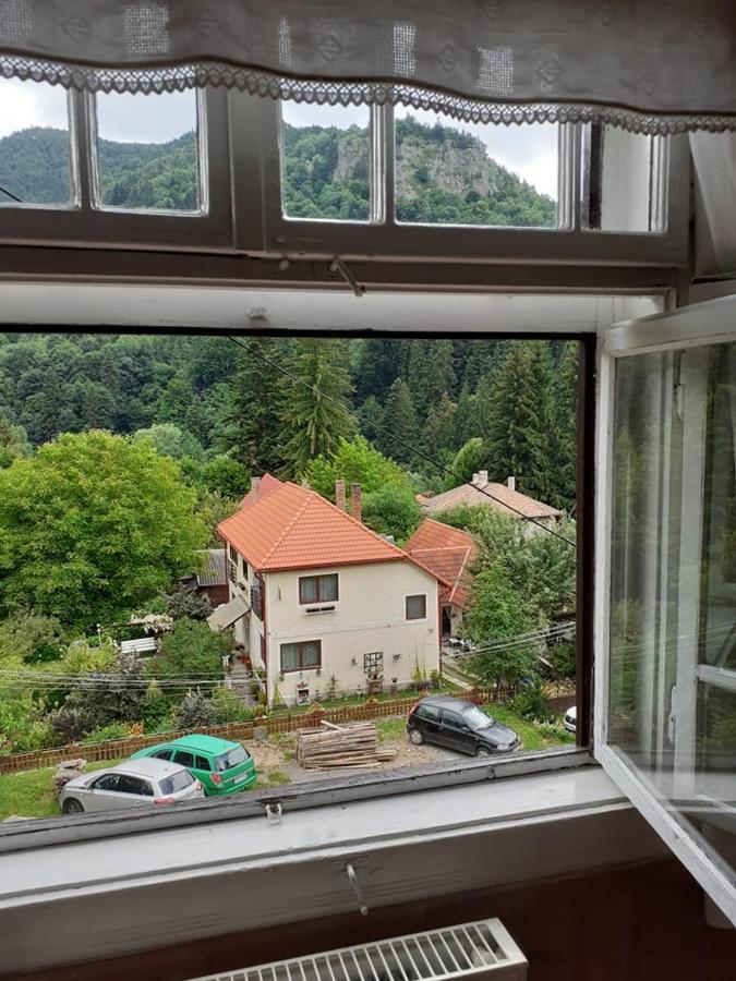 Manyi Villa Беїле-Тушнад Екстер'єр фото